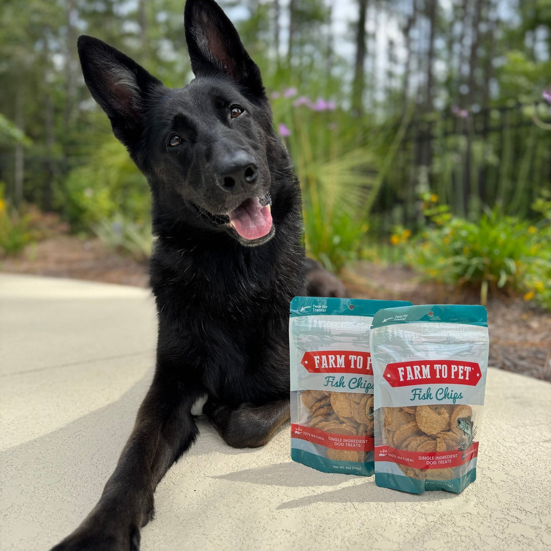 L&J pet products