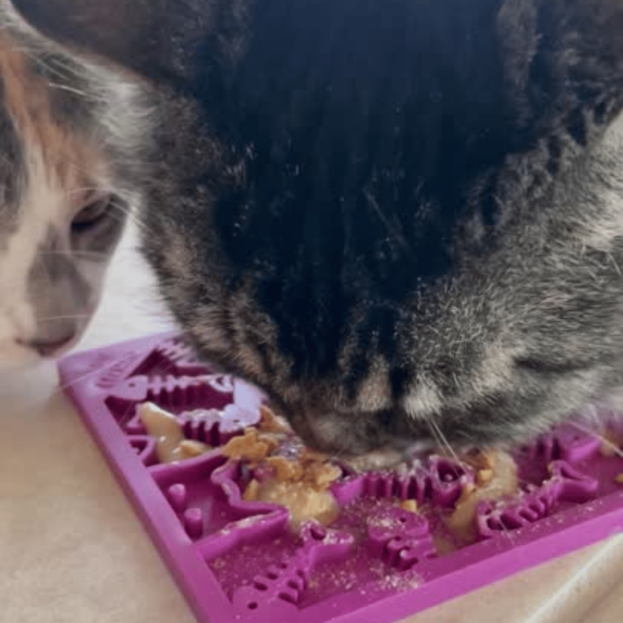 Lick Mats for Cats and Small Dogs